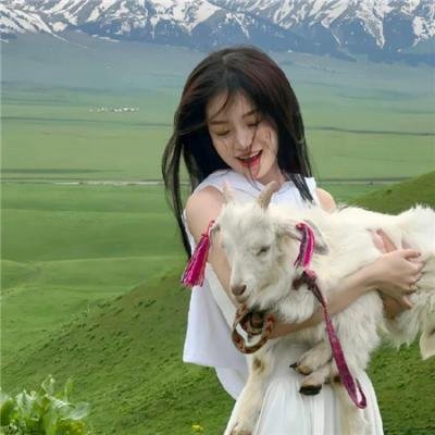桃乐丝·罗奇的恐惧
